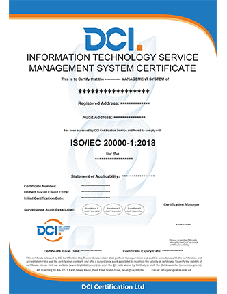ISO 20000 英文样本