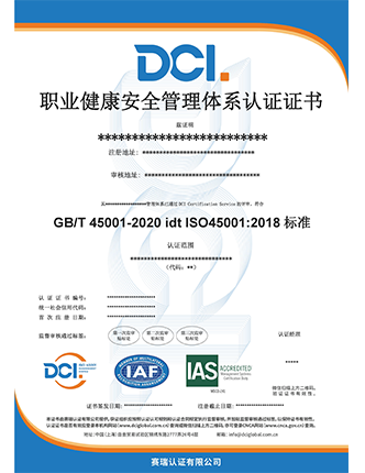 ISO 45001 IAS 中文样本