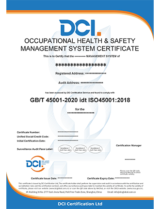 ISO 45001 英文样本